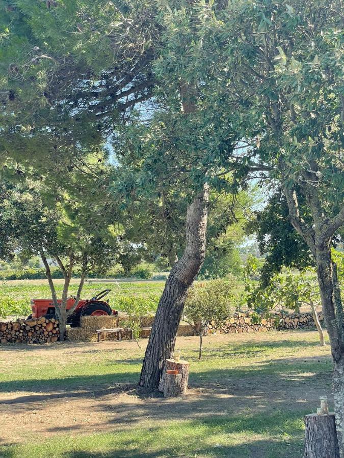 Agriturismo Tenuta Pozzello Torre dell'Orso Exteriér fotografie